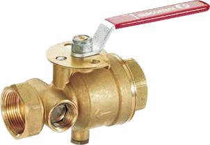 Test & drain valve